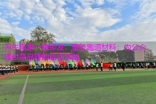 塑胶跑道材料：为公众提供高品质的运动场地