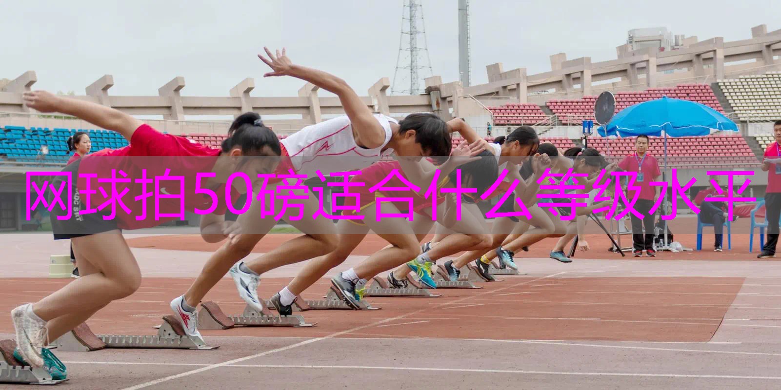 网球拍50磅适合什么等级水平